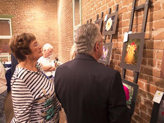 Phyliss & Bill Judging Photos